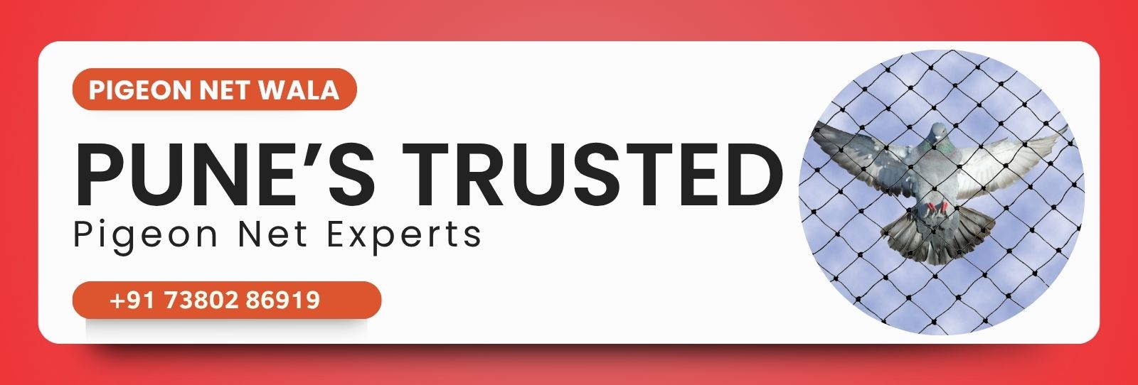 Pigeon Net Experts